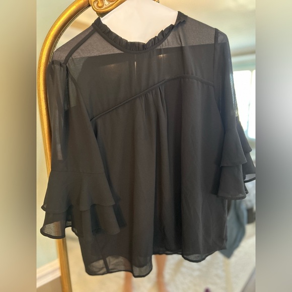Elegant Sheer Black Ruffle Sleeve Women's Top - Picture 1 of 2